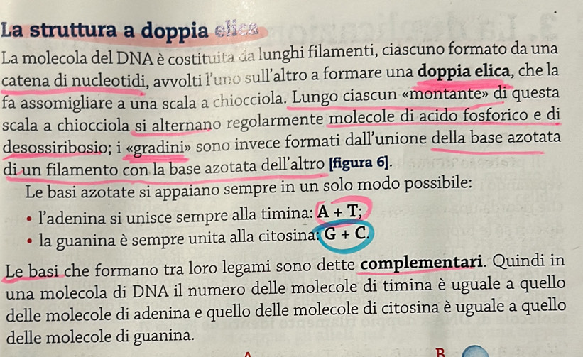 La struttura a doppia elies 
La molecola del DNA è costituita da lunghi filamenti, ciascuno formato da una 
catena di nucleotidi, avvolti l’uno sull’altro a formare una doppia elica, che la 
fa assomigliare a una scala a chiocciola. Lungo ciascun «montante» di questa 
scala a chiocciola si alternano regolarmente molecole di acido fosforico e di 
desossiribosio; i «gradini» sono invece formati dall’unione della base azotata 
di un filamento con la base azotata dell’altro [figura 6 ]. 
Le basi azotate si appaiano sempre in un solo modo possibile: 
l’adenina si unisce sempre alla timina: A+T; a 
la guanina è sempre unita alla citosina: G+C
Le basi che formano tra loro legami sono dette complementari. Quindi in 
una molecola di DNA il numero delle molecole di timina è uguale a quello 
delle molecole di adenina e quello delle molecole di citosina è uguale a quello 
delle molecole di guanina. 
R