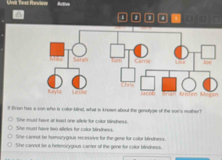 Unit Test Review Active
1 2 3 4 s a D
If Brian has a son who is color-blind, what is known about the genotype of the son's mother?
She must have at least one allele for color blindness.
She must have two alleles for color blindness.
She cannot be homozygous recessive for the gene for color blindness.
She cannot be a heterozygous carrier of the gene for color blindness.