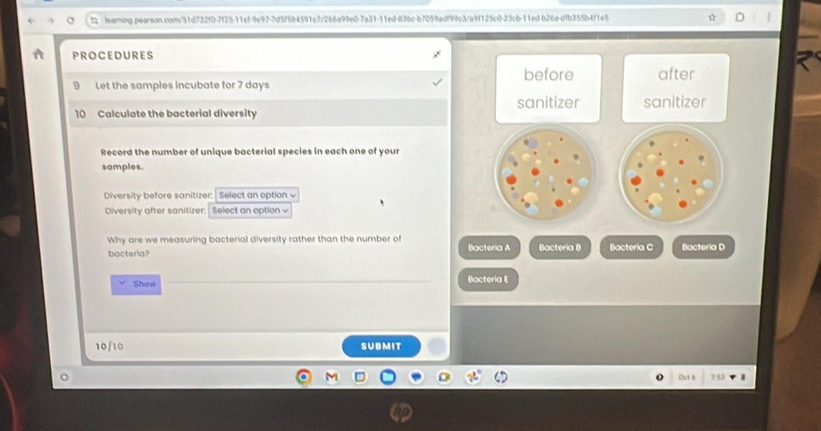 ☆ | 
PROCEDURES 
before after 
9 Let the samples incubate for 7 days
sanitizer 
10 Calculate the bacterial diversity sanitizer 
Record the number of unique bacterial species in each one of your 
samples. 
Diversity before sanitizer: Select an option 
Diversity after sanitizer: Select an option v 
Why are we measuring bacterial diversity rather than the number of 
bacteria? Bacteria A Bacteria B Bacteria C Bacteria D 
Show _Bactería 
10/ 10 SUBMIt 
Oct 6 ? 53 a