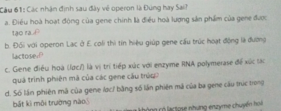 Các nhận định sau đây về operon là Đúng hay Sai?
a. Điều hoà hoạt động của gene chính là điều hoà lượng sản phẩm của gene được
tạo ra.A
b. Đối với operon Lac ở E. coli thì tín hiệu giúp gene cấu trúc hoạt động là đường
lactose
c. Gene điều hoà (/ạc/) là vị trí tiếp xức với enzyme RNA polymerase để xức tạc
quả trình phiên mã của các gene cău trúc
d. Số lần phiên mã của gene løc/ bằng số lần phiên mã của ba gene cấu trúc trong
bất kì môi trường nào∫
không có lactose nhưng enzyme chuyến hoà