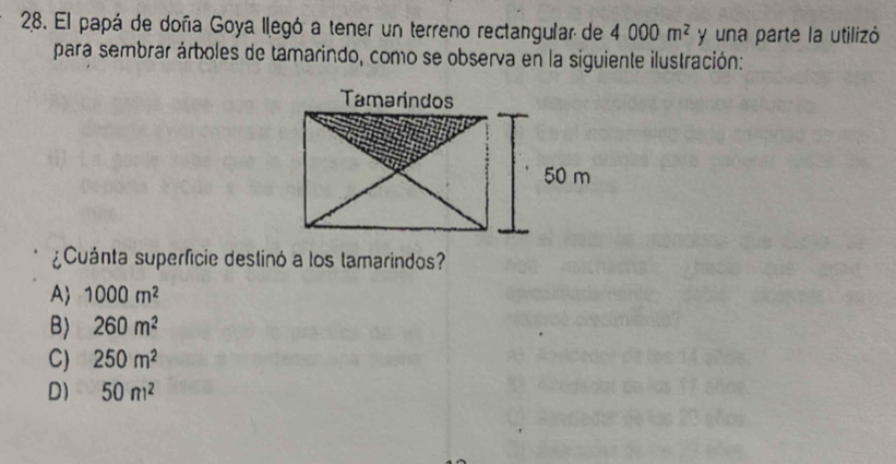 El papá de doña Goya Ilegó a tener un terreno rectangular de 4000m^2 y una parte la utilizó
para sembrar árboles de tamarindo, como se observa en la siguiente ilustración:
¿Cuánta superficie destinó a los lamarindos?
A 1000m^2
B) 260m^2
C) 250m^2
D) 50m^2