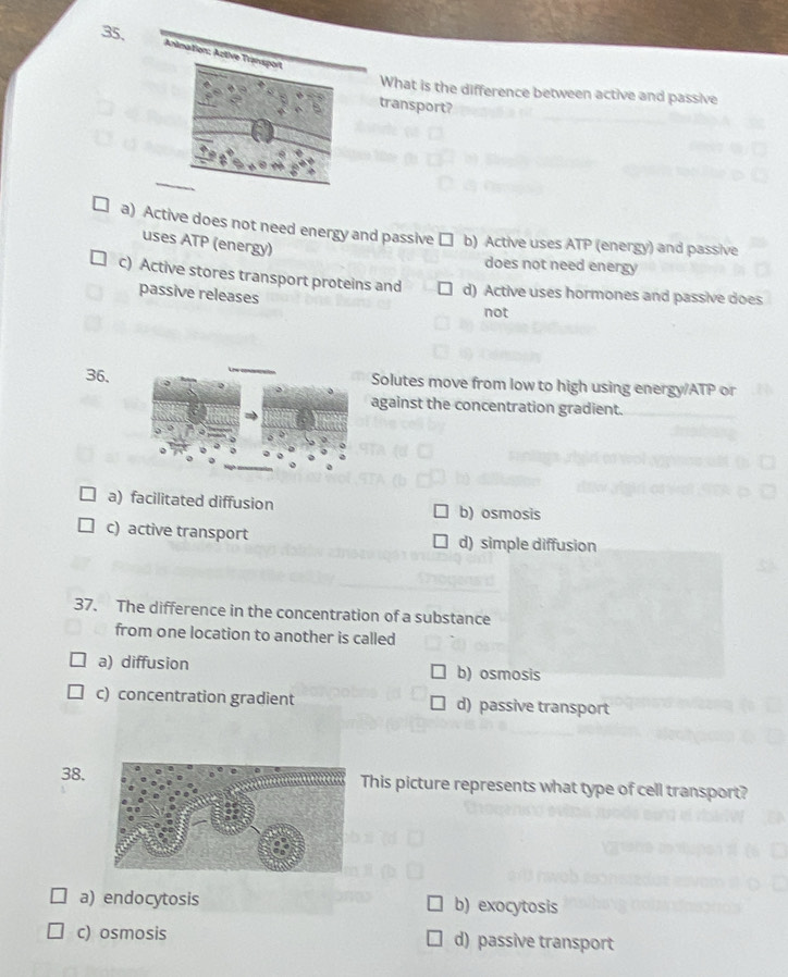 35,
Animation: Azti
What is the difference between active and passive
transport?
a) Active does not need energy and passive □ b) Active uses ATP (energy) and passive
uses ATP (energy)
does not need energy
c) Active stores transport proteins and d) Active uses hormones and passive does
passive releases not
36.Solutes move from low to high using energy/ATP or
against the concentration gradient.
a) facilitated diffusion b) osmosis
c) active transport d) simple diffusion
37. The difference in the concentration of a substance
from one location to another is called
a) diffusion b) osmosis
c) concentration gradient d) passive transport
38. This picture represents what type of cell transport?
a) endocytosis b) exocytosis
c) osmosis d) passive transport