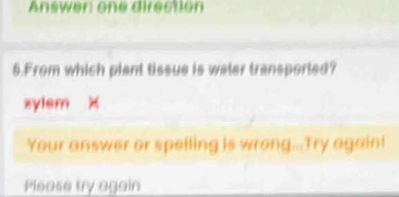 Answer one direction 
5.From which plant tissue is water transported? 
xylem x 
Your answer or spelling is wrong...Try again! 
Please try again