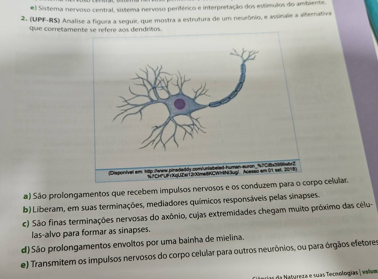 e) Sistema nervoso central, sistema nervoso periférico e interpretação dos estímulos do ambiente.
2. (UPF-RS) Analise a figura a seguir, que mostra a estrutura de um neurônio, e assinale a alternativa
que corretamente se refere aos dendritos.
a) São prolongamentos que recebem impulsos nervosos e os conduzpo celular.
b) Liberam, em suas terminações, mediadores químicos responsáveis pelas sinapses.
c) São finas terminações nervosas do axônio, cujas extremidades chegam muito próximo das célu-
las-alvo para formar as sinapses.
d)São prolongamentos envoltos por uma bainha de mielina.
e) Transmitem os impulsos nervosos do corpo celular para outros neurônios, ou para órgãos efetores
âncias da Natureza e suas Tecnologias | volum