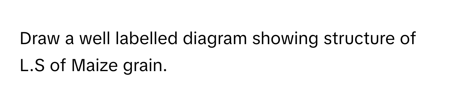 Solved: Draw a well labelled diagram showing structure of L.S of Maize ...