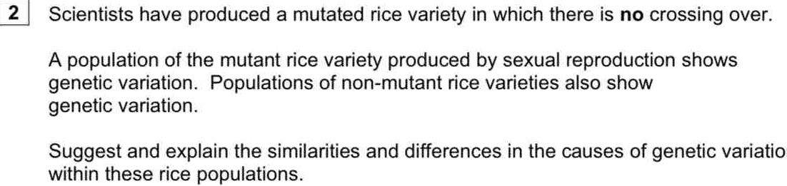 Solved: Scientists have produced a mutated rice variety in which there ...