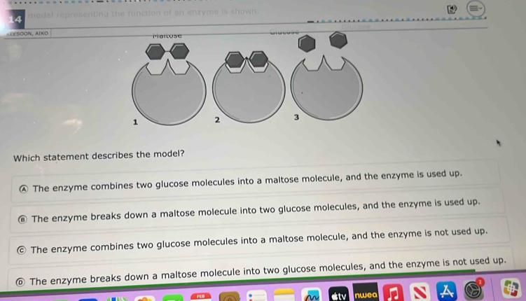 KEESOON, AIKO 
Which statement describes the model?
Ⓐ The enzyme combines two glucose molecules into a maltose molecule, and the enzyme is used up.
The enzyme breaks down a maltose molecule into two glucose molecules, and the enzyme is used up.
The enzyme combines two glucose molecules into a maltose molecule, and the enzyme is not used up.
The enzyme breaks down a maltose molecule into two glucose molecules, and the enzyme is not used up.
wea