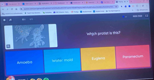 All Bonkmarka
Teach your Mane Moờphlan ABC BNesioe · D. Stadonk Ihoukak Snudent thortal Oe. The Myin Regina in 
9050 3120
Whịch protist is this?
Amoeba Water mold Euglena Paramecium