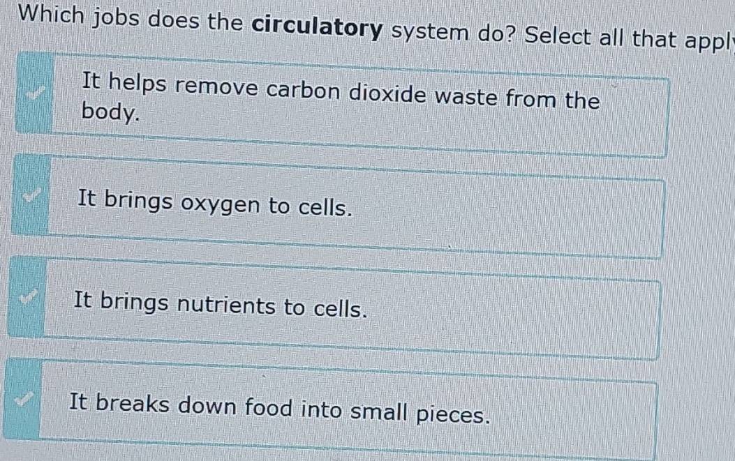 Which jobs does the circulatory system do? Select all that appl
It helps remove carbon dioxide waste from the
body.
It brings oxygen to cells.
It brings nutrients to cells.
It breaks down food into small pieces.