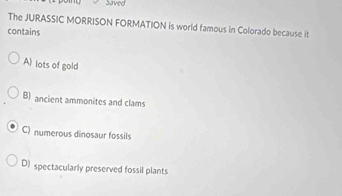 Saved
The JURASSIC MORRISON FORMATION is world famous in Colorado because it
contains
A) lots of gold
B) ancient ammonites and clams
C) numerous dinosaur fossils
D) spectacularly preserved fossil plants