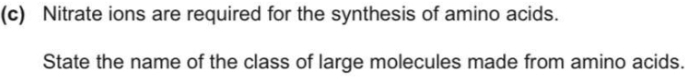 Nitrate ions are required for the synthesis of amino acids. 
State the name of the class of large molecules made from amino acids.