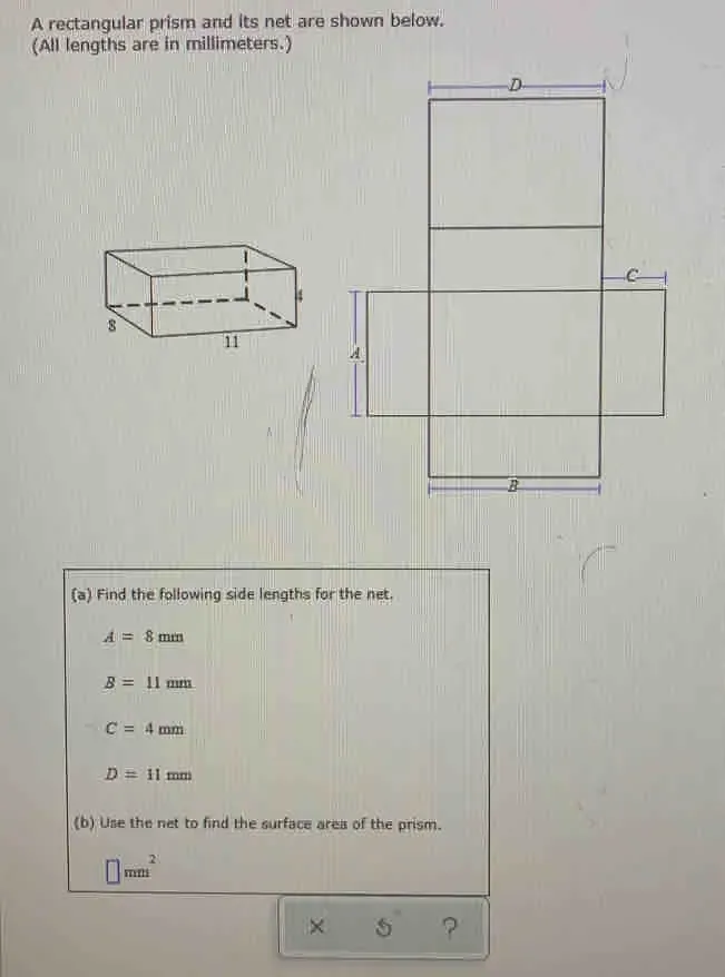 Solved: A rectangular prism and its net are shown below. (All lengths ...