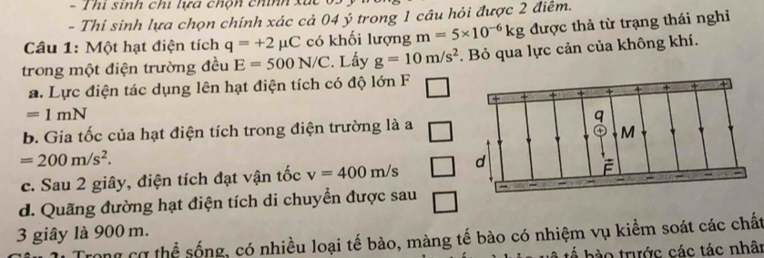 Thi sinh chi tựa chộn chính xãc
- Thí sinh lựa chọn chính xác cả 04 ý trong 1 câu hỏi được 2 điêm.
Câu 1: Một hạt điện tích q=+2 μC có khối lượng m=5* 10^(-6)kg được thả từ trạng thái nghỉ
trong một điện trường đều E=500N/C. Lấy g=10m/s^2. Bỏ qua lực cản của không khí.
a. Lực điện tác dụng lên hạt điện tích có độ lớn F
=1mN
b. Gia tốc của hạt điện tích trong điện trường là a
q
M
=200m/s^2. 
c. Sau 2 giây, điện tích đạt vận tốc v=400m/s d
2
d. Quãng đường hạt điện tích di chuyển được sau
3 giây là 900 m.
Trong cơ thể sống, có nhiều loại tế bào, màng tế bào có nhiệm vụ kiểm soát các chất
ào trước các tác nhâi