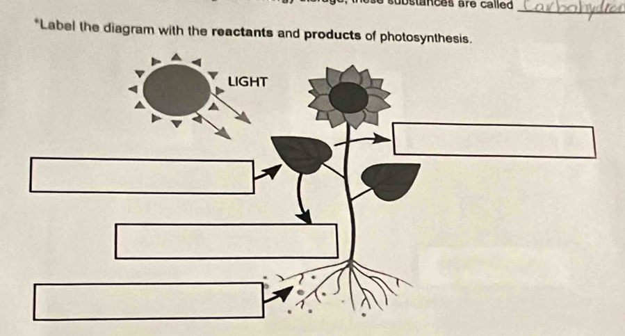 ubstances are called 
_ 
*Label the diagram with the reactants and products of photosynthesis.