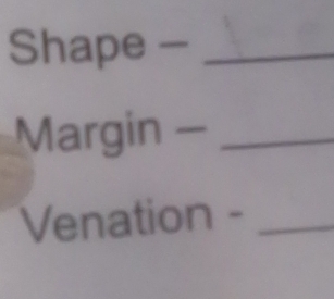 Shape -_ 
Margin -_ 
Venation -_