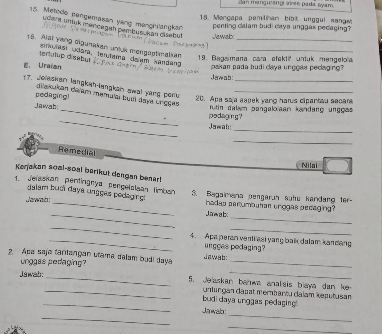 dan mengurangi stres pada ayam. 
18. Mengapa pemilihan bibit unggul sangat 
15. Metode pengemasan yang menghilangkan penting dalam budi daya unggas pedaging? 
udara untuk mencegah pembusukan disebut Jawab: 
16. Alat yang digunakan untuk mengoptimalkan 19. Bagaimana cara efektif untuk mengelola 
tertutup disebut 
sirkulasi udara, terutama dalam kandang pakan pada budi daya unggas pedaging? 
E. Uraian 
Jawab: 
17. Jelaskan langkah-langkah awal yang perlu__ 
dilakukan dalam memulai budi daya unggas 
pedaging! 
20. Apa saja aspek yang harus dipantau secara 
rutin dalam pengelolaan kandang unggas 
_ 
Jawab: _pedaging? 
Jawab: 
Be 
_ 
_ 
Remedial 
Nilai 
Kerjakan soal-soal berikut dengan benar! 
1. Jelaskan pentingnya pengelolaan limbah 3. Bagaimana pengaruh suhu kandang ter- 
dalam budi daya unggas pedaging! 
Jawab: 
_ 
_hadap pertumbuhan unggas pedaging? 
_ 
Jawab: 
_ 
_ 
_4. Apa peran ventilasi yang baik dalam kandang 
unggas pedaging? 
2. Apa saja tantangan utama dalam budi daya Jawab:_ 
unggas pedaging? 
Jawab: 
_ 
_5. Jelaskan bahwa analisis biaya dan ke- 
_untungan dapat membantu dalam keputusan 
_budi daya unggas pedaging! 
_ 
_ 
Jawab: 
_