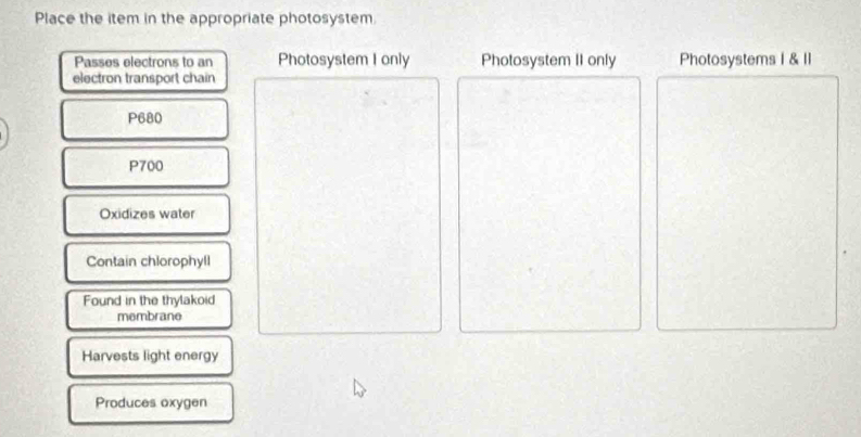 Place the item in the appropriate photosystem.
Passes electrons to an Photosystem I only Photosystem II only Photosystems I & Il
electron transport chain
P680
P700
Oxidizes water
Contain chlorophyll
Found in the thylakoid
membrane
Harvests light energy
Produces oxygen