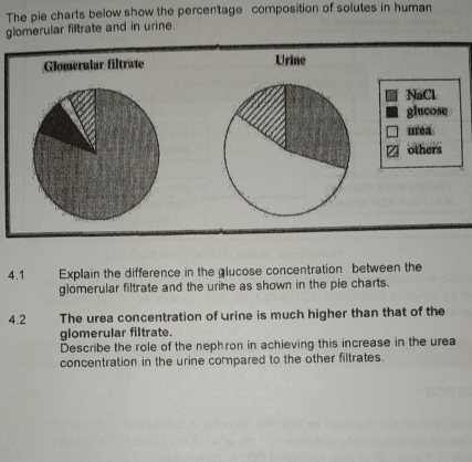 The pie charts below show the percentage composition of solutes in human 
glomerular filtrate and in urine. 
Glomerular filtrate Urine 
NaCl 
glucose 
urea 
others 
4.1 Explain the difference in the glucose concentration between the 
glomerular filtrate and the urime as shown in the pie charts. 
4.2 The urea concentration of urine is much higher than that of the 
glomerular filtrate. 
Describe the role of the nephron in achieving this increase in the urea 
concentration in the urine compared to the other filtrates.