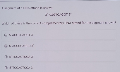 A segment of a DNA strand is shown.
3' AGGTCAGGT 5'
Which of these is the correct complementary DNA strand for the segment shown?
5' AGGTCAGGT 3'
5° ACCUGAGGU 3'
5' TGGACTGGA 3'
D 5° TCCAGTCCA 3'