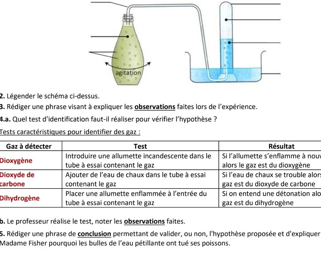 Légender le schéma 
3. Rédiger une phrase visant à expliquer les observations faites lors de l'expérience. 
4.a. Quel test d'identification faut-il réaliser pour vérifier l'hypothèse ? 
Tests caractéristiques pour identifier des gaz : 
uy 
D 
Drs 
ca 
lo 
D 
b. Le professeur réalise le test, noter les observations faites. 
5. Rédiger une phrase de conclusion permettant de valider, ou non, l'hypothèse proposée et d'expliquer 
Madame Fisher pourquoi les bulles de l'eau pétillante ont tué ses poissons.