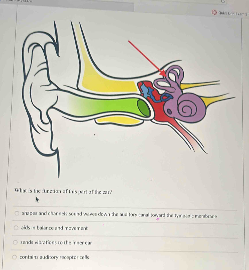 Solved: Unit Exam 2 What is the function of this part of the ear ...