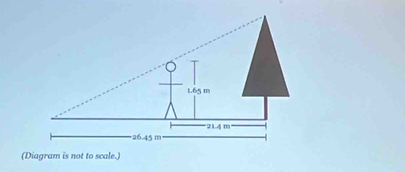 (Diagram is not to scale.)