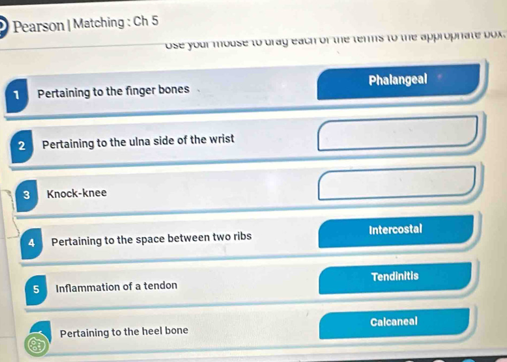 Pearson | Matching : Ch 5 
ose your mouse to drag each of the terms to the approphate box. 
Phalangeal 
Pertaining to the finger bones 
2 Pertaining to the ulna side of the wrist 
3 Knock-knee 
4 Pertaining to the space between two ribs Intercostal 
Tendinitis 
5 Inflammation of a tendon 
Pertaining to the heel bone Calcaneal