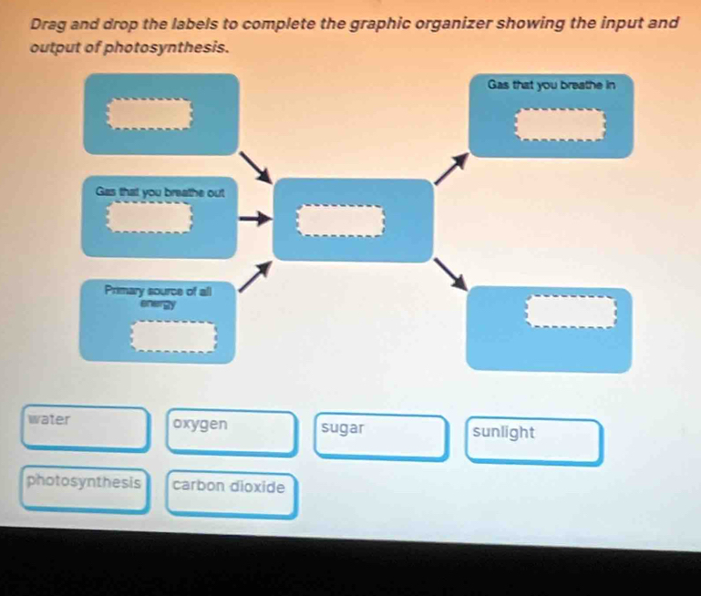Solved: Drag and drop the labels to complete the graphic organizer ...