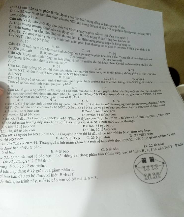 nương đồng ở kì sau
C Ở kì sau điễn ra sự phân lí độc lập của các cập NST tương đồng về hai cực của tế báo
D. Có thể xây ra sự trao đổi chéo của các NST kép tương đồng ở kì đầu 1 và sự phân lì độc lập của các cập NS
Câu 60: Ví dụ nào dưới đây cho thầy vai trò của nguyên phân đổi với đời sống con người ''
A. Hiện tượng trương phinh của xác động vật B. Hiện tượng tế bảo trừng đơn bội lớn lên
C. Hiện tượng hàn gắn, làm lành vết thương hở D. Hiện tượng phòng, xep của bong bóng cá
128 NST. Tinh bộ NST 2n?
Câu 61: Có một tế bảo sinh tinh ở một loài giám phân bình thường tạo ra giao từ có chứa 2 NST giới tính Y l
A. 32 B. 64
C. 128 D. 16
Câu 62:dot bigcirc  ngô 2n=20 Một thảo sinh đưỡng của ngô nguyên phân liên tiếp 3 lần. Trong tắt cả các tbão con có
A. 320 crômatit B. 80 cromatit C. 0 cromatit
Câu 63: Trong mỗi tinh trùng của loài động vật có 18 nhiễm sắc thể khác nhau. Có thể có bao nhiều nhiễm sắc
thể trong tế bảo sinh dưỡng của loài này?
A.37
D. 160 cromatit
B. 36 C. 38
Câu 64: Cây lưỡng bội 2n khi tham gia phân bào nguyên phân có sự nhân đôi nhưng không phân li. Từ 1 tế báo
D. 21
2n=4NST , sẽ thu được tế bào con có bộ NST bao nhiêu?
A.4NST
B. 8 NST C. 2 NST
Câu 65:M sột số tể bảo sinh tinh ở một loài giám phân bình thường tạo ra 2 tỉnh trùng chứa NST giới tính Y. D. 6 NST
Tiính số tế bảo sinh tinh tham gia giảm phân?
a. 8 b. 2 c. 4 d. 1
Câu 66: Ở gả có bộ NST 2n=78. Một tế bào sinh đục đực sơ khai nguyên phân liên tiếp một số lần, tắt cả các tế
bảo con tạo thành đều tham gia giam phân tạo giao tử. Tổng số NST đơn trong tắt cả các giao từ là 19968. Tế bào
sinh dục sơ khai đó đã nguyên phân với số lần lả ?
A. 7. B. 6. C. 5. D. 4.
Cầu 67. Có 4 tế bảo sinh dưỡng đều nguyên phân 3 lần , đã nhận của môi trường nguyên phân tương đương 1680
NST. Các tế bảo con có chứa 1920 NST
A 2n=30,32 tē bào con  Xác định số NST 2n và số tế bảo con được tạo ra của mỗi tế bảo mẹ?
B. 2n=30
C. 2n=60,32that e bào con D. 2n=60. , 64 tế bào con , 64 tế bảo con
Cầu 68. Ở đậu Hà Lan có bộ NST 2n=14. -. Tính số tế bào con được tạo ra từ 1 tế bào và số lần nguyên phân của
tê  bào đó trong trường hợp môi trường tế bảo cung cấp 434 NST đơn mới tương đương.
A.5 lần, 32 tế bào con B.6 lần, 64 tế bào con
C.5 lần, 64 tế bào con D.6 lần, 32 tế bào con
A. 46 NST đơn  TB nguyên phân thì kì đầu sẽ có bao nhiêu NST đơn hay kép?
Câu 69: Ở người bộ NST 2n=46
B. 46 NST kép C. 23 NST đơn D. 23NSTH kép
au được bao nhiêu tế bào? 4. Trong quá trình giảm phân của một tế bảo sinh dục chín khi kết thúc giám phân 1I thì
Câu 70: Thỏ có 2n=44
D. 22 tế bào
2 tế bào B. 4 tế bào C. 6 tế bào
Su 71: Quan sát một tế bào của 1 loài động vật đang phân bào (hình vẽ), cácí hiệu B, e, f là các NST. Phát
u sau đây đúng/sai ? Giải thích.
rong tể bào có 12 cromatid .
bể bào này đang ở kỳ giữa của giảm phân 1.
Tể bào ban đầu có bộ được kí hiệu BbEeFf.
ết thúc quá trình này, mỗi tế bào con có bộ nst là n=3.