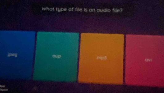 What type of file is an audio file?