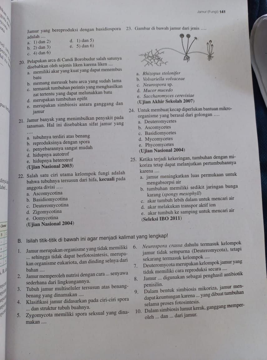 Jamur (Fungi) 141
sota
z Jamur yang bereproduksi dengan basidiospora 23. Gambar di bawah jamur dari jenis ...
adalah ....
a. 1) dan 2) d. 1) dan 5)
b. 2) dan 3) e. 5) dan 6)
eran
c. 4) dan 6)
20. Pelapukan arca di Candi Borobudur salah satunya
disebabkan oleh sejenis liken karena liken ....
a. memiliki akar yang kuat yang dapat menembus
batu a. Rhizopus stolonifer
b. memang merusak batu arca yang sudah lama b. Volvariella volvaceae
c. termasuk tumbuhan perintis yang menghasilkan c. Neurospora sp.
zat tertentu yang dapat melunakkan batu d. Mucor mucedo
d. merupakan tumbuhan epifit e. Saccharomyces cerevisiae
pus be
e. merupakan simbiosis antara ganggang dan (Ujian Akhir Sekolah 2007)
jamur 24. Untuk membuat kecap diperlukan bantuan mikro-
21. Jamur banyak yang menimbulkan penyakit pada organisme yang berasal dari golongan ....
tanaman. Hal ini disebabkan sifat jamur yang a. Deuteromycetes
b. Ascomycetes
a. tubuhnya terdiri atas benang c. Basidiomycetes
b. reproduksinya dengan spora d. Mycomycetes
c. penyebarannya sangat mudah e. Phycomycetes
d. hidupnya autotrof (Ujian Nasional 2004)
e. hidupnya heterotrof 25. Ketika terjadi kekeringan, tumbuhan dengan mi-
(Ujian Nasional 2003) koriza tetap dapat melanjutkan pertumbuhannya
22. Salah satu ciri utama kelompok fungi adalah karena ....
dinya l bahwa tubuhnya tersusun dari hifa, kecuali pada a. jamur meningkatkan luas permukaan untuk
abel anggota divisi … mengabsorpsi air
a. Ascomycotina b. tumbuhan memiliki sedikit jaringan bunga
b. Basidiomycotina karang (spongy mesophyll)
c. Deuteromycotina c. akar tumbuh lebih dalam untuk mencari air
d. Zigomycotina d. akar melakukan transpor aktif ion
e. Oomycotina e. akar tumbuh ke samping untuk mencari air
Jaw (Ujian Nasional 2004) (Seleksi IBO 2011)
B   
B. Isilah titik-titik di bawah ini agar menjadi kalimat yang lengkap!
1. Jamur merupakan organisme yang tidak memiliki 6. Neurospora crassa dahulu termasuk kelompok
... sehingga tidak dapat berfotosintesis, merupa- jamur tidak sempurna (Deuteromycota), tetapi
kan organisme eukariota, dan dinding selnya dari sekarang termasuk kelompok ....
. B bahan .... 7. Deuteromycota merupakan kelompok jamur yang
2. Jamur memperoleh nutrisi dengan cara ... senyawa tidak memiliki cara reproduksi secara ....
sederhana dari lingkungannya. 8. Jamur ... digunakan sebagai penghasil antibiotik
3. Tubuh jamur multiseluler tersusun atas benang- penisilin.
benang yang dinamakan .... 9. Dalam bentuk simbiosis mikoriza, jamur men-
4. Klasifikasi jamur didasarkan pada ciri-ciri spora dapat keuntungan karena ... yang dibuat tumbuhan
... dan struktur tubuh buahnya. selama proses fotosintesis.
5. Zygomycota memiliki spora seksual yang dina- 10. Dalam simbiosis lumut kerak, ganggang memper-
oleh ... dan ... dari jamur.
makan ....