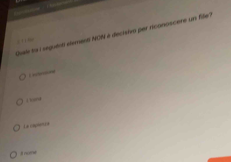 Quale tra i seguénti elementi NON è decisivo per riconoscere un file?
s l ì me
L'esfensione
Licona
La capienza
II nome