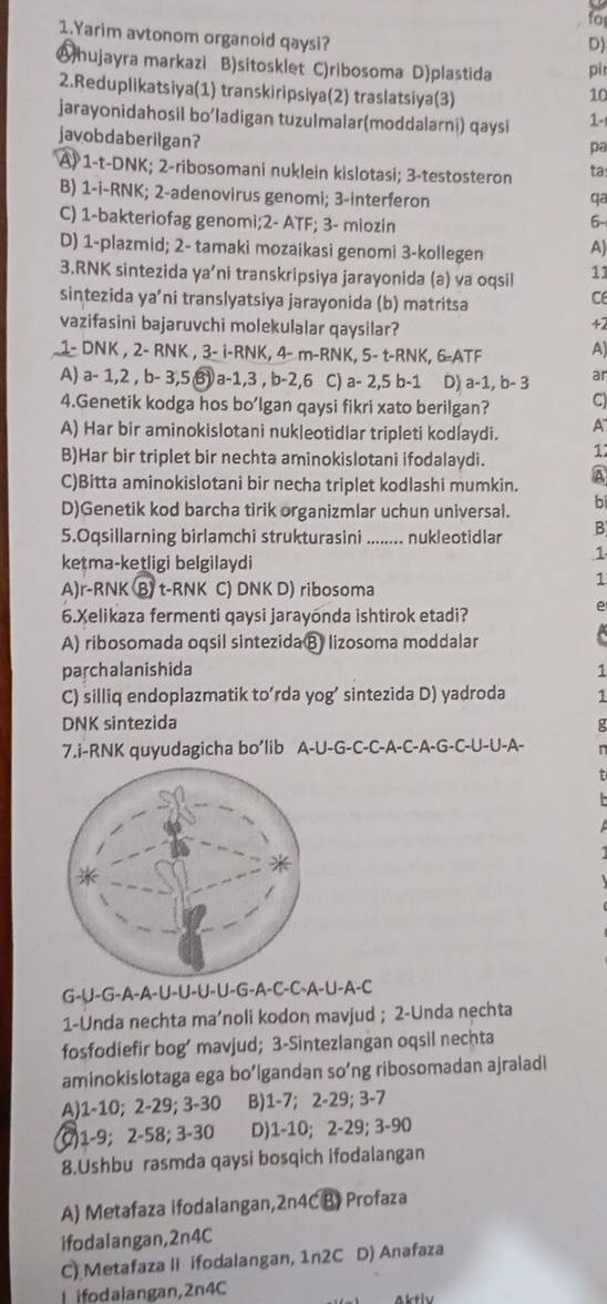 for
1.Yarim avtonom organoid qaysi?
D)
(hujayra markazi B)sitosklet C)ribosoma D)plastida pir
2.Reduplikatsiya(1) transkiripsiya(2) traslatsiya(3)
10
jarayonidahosil bo’ladigan tuzulmalar(moddalarni) qaysi 1-
javobdaberilgan?
pa
A> 1-t-DNK; 2-ribosomani nuklein kislotasi; 3-testosteron ta:
B) 1-i-RNK; 2-adenovirus genomi; 3-interferon qa
C) 1-bakteriofag genomi;2- ATF; 3- miozin
6-
D) 1-plazmid; 2- tamaki mozaikasi genomi 3-kollegen A)
3.RNK sintezida ya’ni transkripsiya jarayonida (a) va oqsil 11
sintezida ya’ni translyatsiya jarayonida (b) matritsa
Ce
vazifasini bajaruvchi molekulalar qaysilar?
+2
1- DNK , 2- RNK , 3- i-RNK, 4- m-RNK, 5- t-RNK, 6-ATF A)
A) a- 1,2 , b- 3,5(8) a-1,3 , b-2,6 C) a- 2,5 b-1 D) a-1, b- 3 ar
4.Genetik kodga hos bo’Igan qaysi fikri xato berilgan? C)
A) Har bir aminokislotani nukleotidlar tripleti kodlaydi. A
B)Har bir triplet bir nechta aminokislotani ifodalaydi. 1
C)Bitta aminokislotani bir necha triplet kodlashi mumkin. A
D)Genetik kod barcha tirik organizmlar uchun universai. bi
5.Oqsillarning birlamchi strukturasini ........ nukleotidlar B
ketma-ketligi belgilaydi
1
A)r-RNK B) t-RNK C) DNK D) ribosoma
1
6.Xelikaza fermenti qaysi jarayónda ishtirok etadi?
e
A) ribosomada oqsil sintezida B) lizosoma moddalar
parchalanishida 1
C) silliq endoplazmatik to’rda yog’ sintezida D) yadroda 1
DNK sintezida
7.i-RNK quyudagicha bo’lib A-U-G-C-C-A-C-A-G-C-U-U-A-
G-U-G-A-A-U-U-U-U-G-A-C-C-A-U-A-C
1-Unda nechta ma’noli kodon mavjud ; 2-Unda nechta
fosfodiefir bog’ mavjud; 3-Sintezlangan oqsil nechta
aminokislotaga ega bo’lgandan so’ng ribosomadan ajraladi
A)1-10; 2-29; 3-30 B)1-7; 2-29; 3-7
2)1-9; 2-58; 3-30 D)1-10; 2-29; 3-90
8.Ushbu rasmda qaysi bosqich ifodalangan
A) Metafaza ifodalangan,2n4C B) Profaza
ifodalangan,2n4C
C) Metafaza II ifodalangan, 1n2C D) Anafaza
l ifodalangan,2n4C