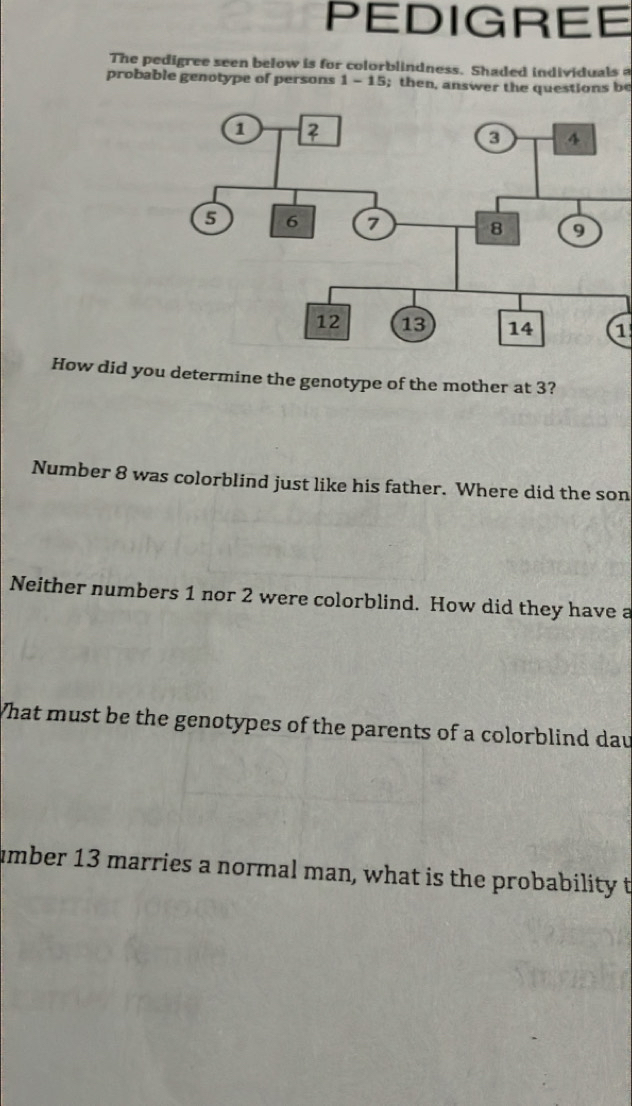 PEDIGREE 
The pedigree seen below is for colorb lindness. Shaded individuals 
probable genotype of persons 1-15; then, answer the questions be 
1 
How did you determine the genotype of the mother at 3? 
Number 8 was colorblind just like his father. Where did the son 
Neither numbers 1 nor 2 were colorblind. How did they have a 
What must be the genotypes of the parents of a colorblind dau 
umber 13 marries a normal man, what is the probability t