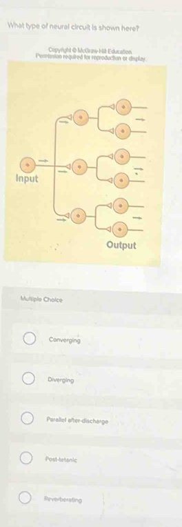 Solved: What type of neural circuit is shown here? Copyright @ McGraw ...