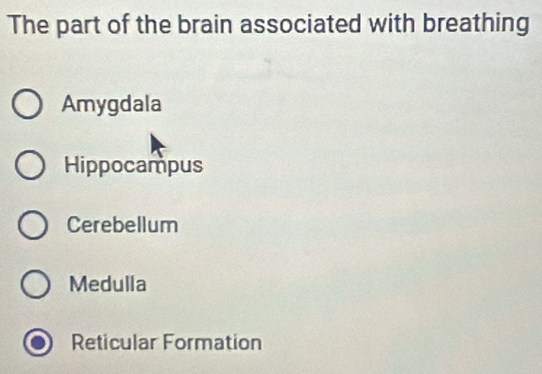 The part of the brain associated with breathing
Amygdala
Hippocampus
Cerebellum
Medulla
Reticular Formation