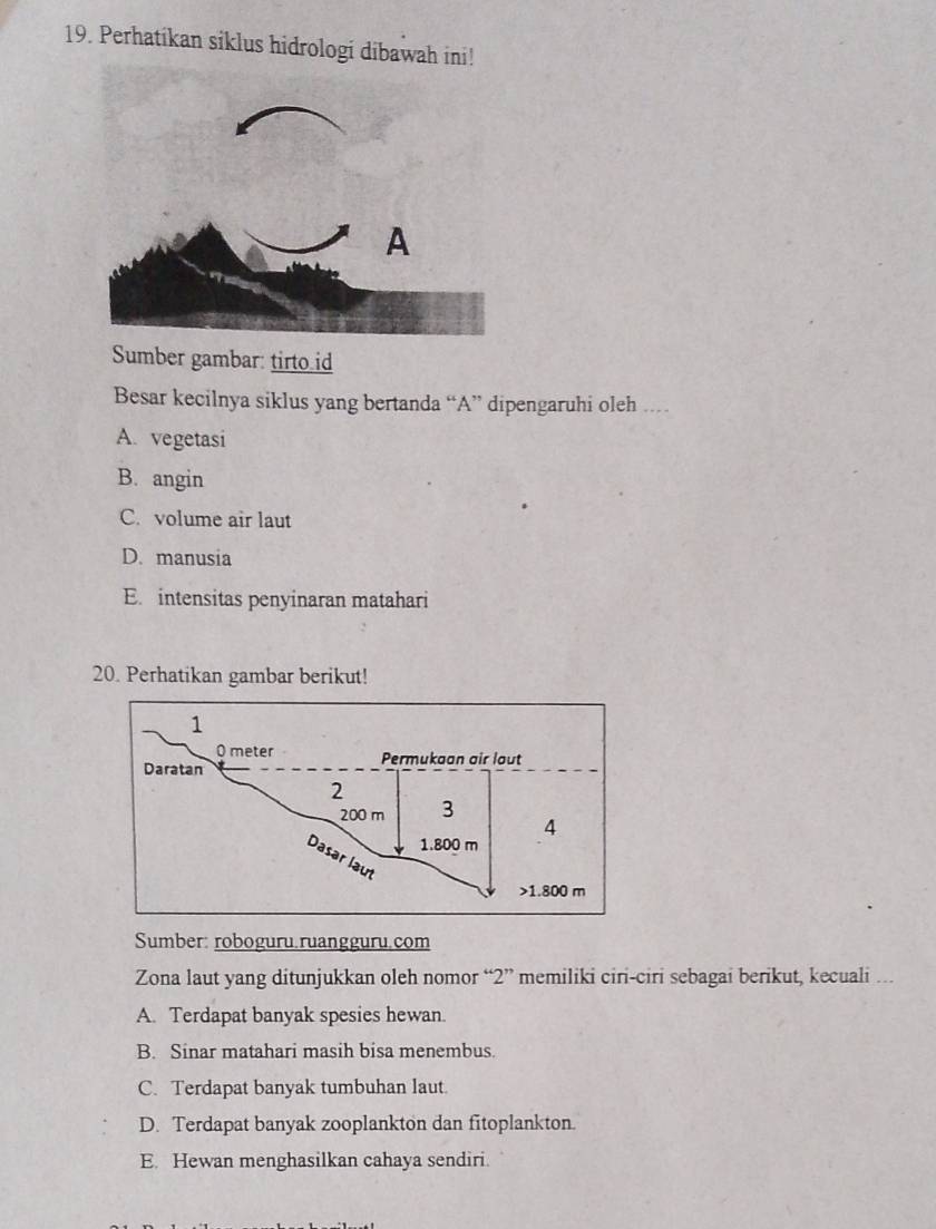 Perhatikan siklus hidrologi dibawah ini!
Sumber gambar: tirto id
Besar kecilnya siklus yang bertanda “A” dipengaruhi oleh ..
A. vegetasi
B. angin
C. volume air laut
D. manusia
E. intensitas penyinaran matahari
20. Perhatikan gambar berikut!
Sumber: roboguru.ruangguru.com
Zona laut yang ditunjukkan oleh nomor “ 2 ” memiliki ciri-ciri sebagai berikut, kecuali ...
A. Terdapat banyak spesies hewan.
B. Sinar matahari masih bisa menembus.
C. Terdapat banyak tumbuhan laut.
D. Terdapat banyak zooplankton dan fitoplankton.
E. Hewan menghasilkan cahaya sendiri.