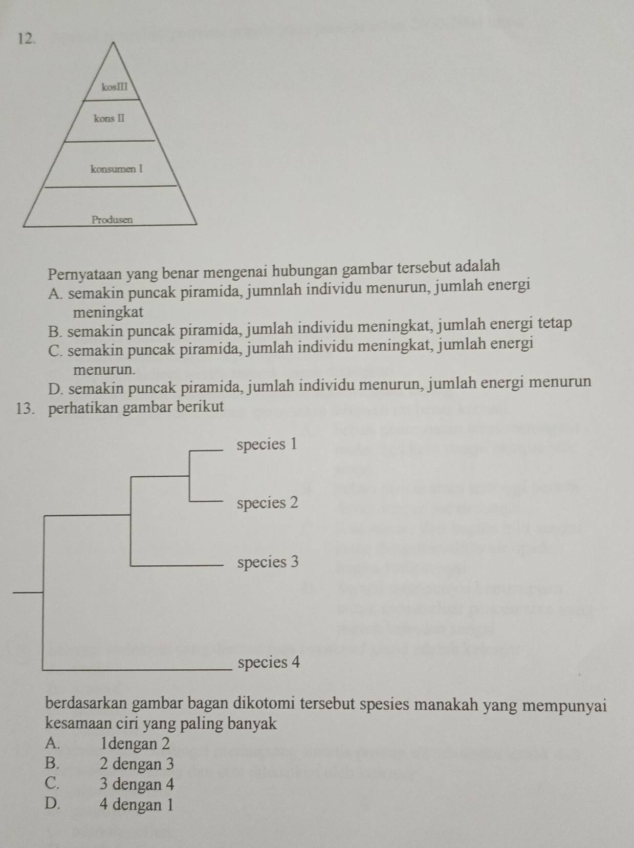 Pernyataan yang benar mengenai hubungan gambar tersebut adalah
A. semakin puncak piramida, jumnlah individu menurun, jumlah energi
meningkat
B. semakin puncak piramida, jumlah individu meningkat, jumlah energi tetap
C. semakin puncak piramida, jumlah individu meningkat, jumlah energi
menurun.
D. semakin puncak piramida, jumlah individu menurun, jumlah energi menurun
13. perhatikan gambar berikut
berdasarkan gambar bagan dikotomi tersebut spesies manakah yang mempunyai
kesamaan ciri yang paling banyak
A. zng 1dengan 2
B. 2 dengan 3
C. 3 dengan 4
D. 4 dengan 1