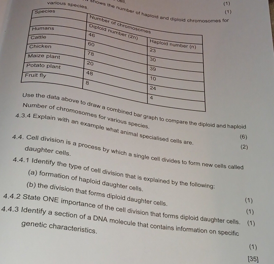 (1) 
(1) 
various speci - shows thes for 
graph to compare the diploid and haploid 
for various species. 
xplain with an example what animal specialised cells are 
(6) 
(2) 
daughter cells. 
4.4. Cell division is a process by which a single cell divides to form new cells called 
4.4.1 Identify the type of cell division that is explained by the following: 
(a) formation of haploid daughter cells. 
(b) the division that forms diploid daughter cells. 
(1) 
4.4.2 State ONE importance of the cell division that forms diploid daughter cells. (1) (1) 
4.4.3 Identify a section of a DNA molecule that contains information on specific 
genetic characteristics. 
(1) 
[35]