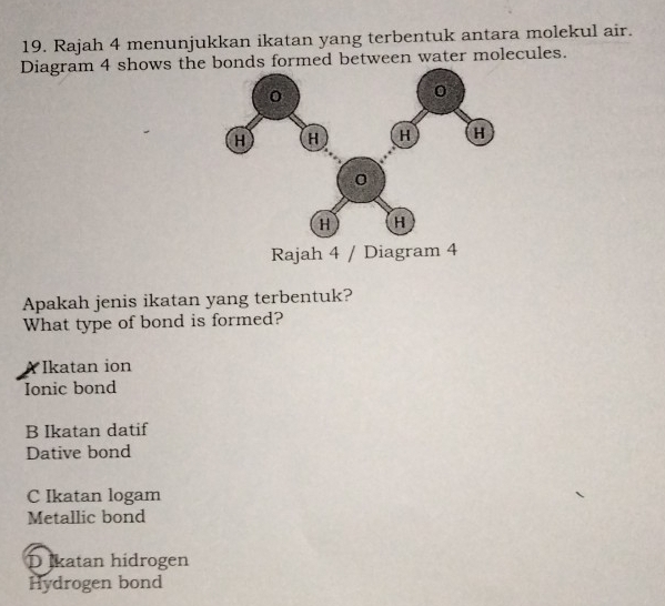 Rajah 4 menunjukkan ikatan yang terbentuk antara molekul air.
Diagram 4 shows the bonds formed between water molecules.
Apakah jenis ikatan yang terbentuk?
What type of bond is formed?
Ikatan ion
Ionic bond
B Ikatan datif
Dative bond
C Ikatan logam
Metallic bond
D İkatan hidrogen
Hydrogen bond