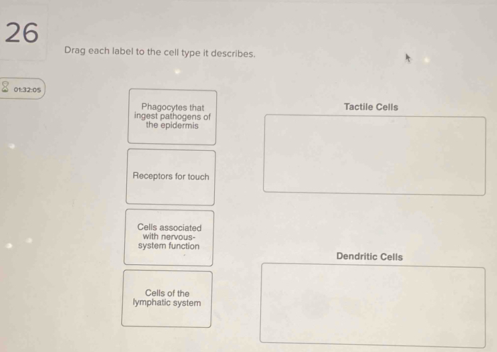 Drag each label to the cell type it describes.
01:32:05
Phagocytes that Tactile Cells
ingest pathogens of
the epidermis
Receptors for touch
Cells associated
with nervous-
system function
Dendritic Cells
Cells of the
lymphatic system