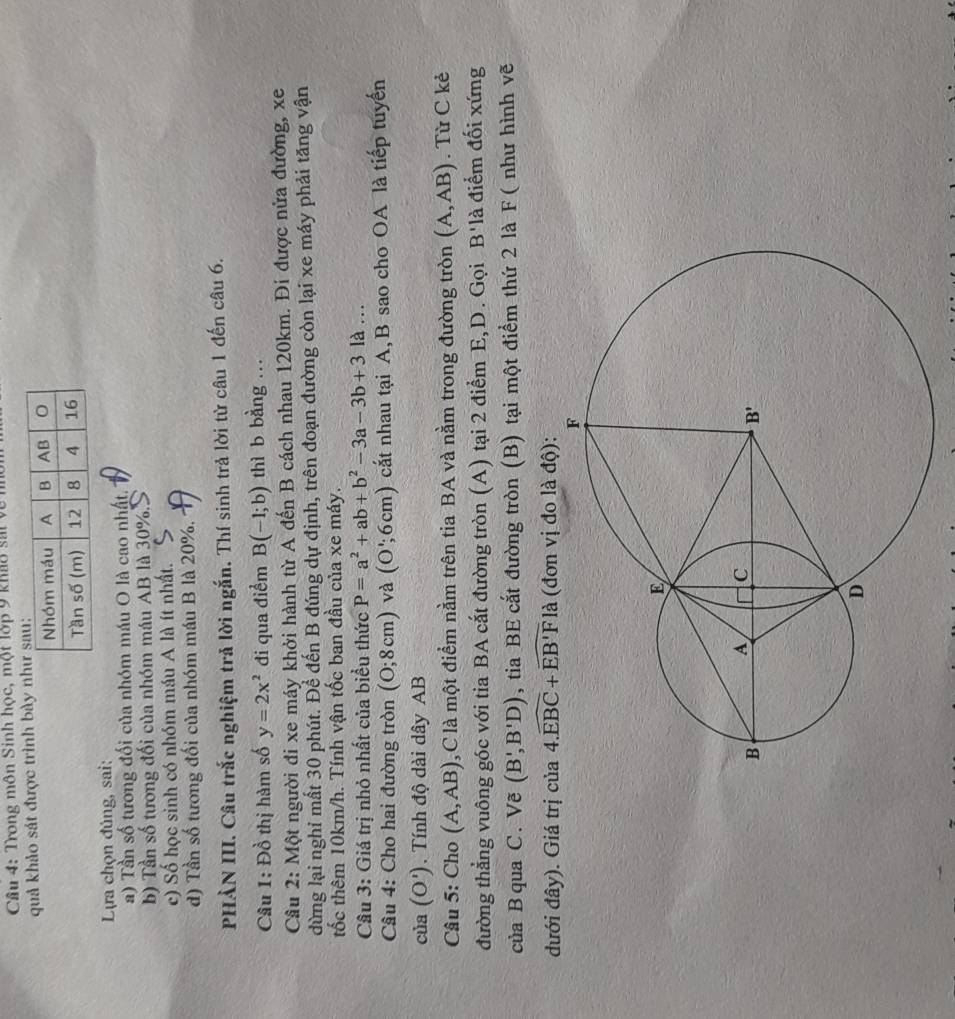 Trong môn Sinh học, một lớp 9 khu sát về 1
quả khảo sát được trình bày n
Lựa chọn đủng, sai:
a) Tần số tương đối của nhóm máu O là cao nhật.
b) Tần số tương đối của nhóm máu AB là 30%.
c) Số học sinh có nhóm máu A là ít nhất.
d) Tần số tương đối của nhóm máu B là 20%.
PHẢN III. Câu trắc nghiệm trả lời ngắn. Thí sinh trả lời từ câu 1 đến câu 6.
Câu 1: Đồ thị hàm số y=2x^2 đi qua điểm B(-1;b) thì b bằng ..
Câu 2: Một người đi xe máy khởi hành từ A đến B cách nhau 120km. Đi được nửa đường, xe
dừng lại nghỉ mất 30 phút. Để đến B đúng dự định, trên đoạn đường còn lại xe máy phải tăng vận
tốc thêm 10km/h. Tính vận tốc ban đầu của xe máy.
Câu 3: Giá trị nhỏ nhất của biểu thức P=a^2+ab+b^2-3a-3b+3la..
Câu 4: Cho hai đường tròn (0;8cm) và (O';6cm) cắt nhau tại A, B sao cho OA là tiếp tuyển
của (O'). Tính độ dài dây AB
Câu 5: Cho (A,AB) , C là một điểm nằm trên tia BA và nằm trong đường tròn (A,AB). Từ C kẻ
đường thẳng vuông góc với tia BA cắt đường tròn (A) tại 2 điểm E,D. Gọi B'là điểm đối xứng
của B qua C. Vẽ (B',B'D) , tia BE cắt đường tròn (B) tại một điểm thứ 2 là F ( như hình vẽ
đưới đây). Giá trị của 4.widehat EBC+widehat EB'Fla (đơn vị đo là độ):