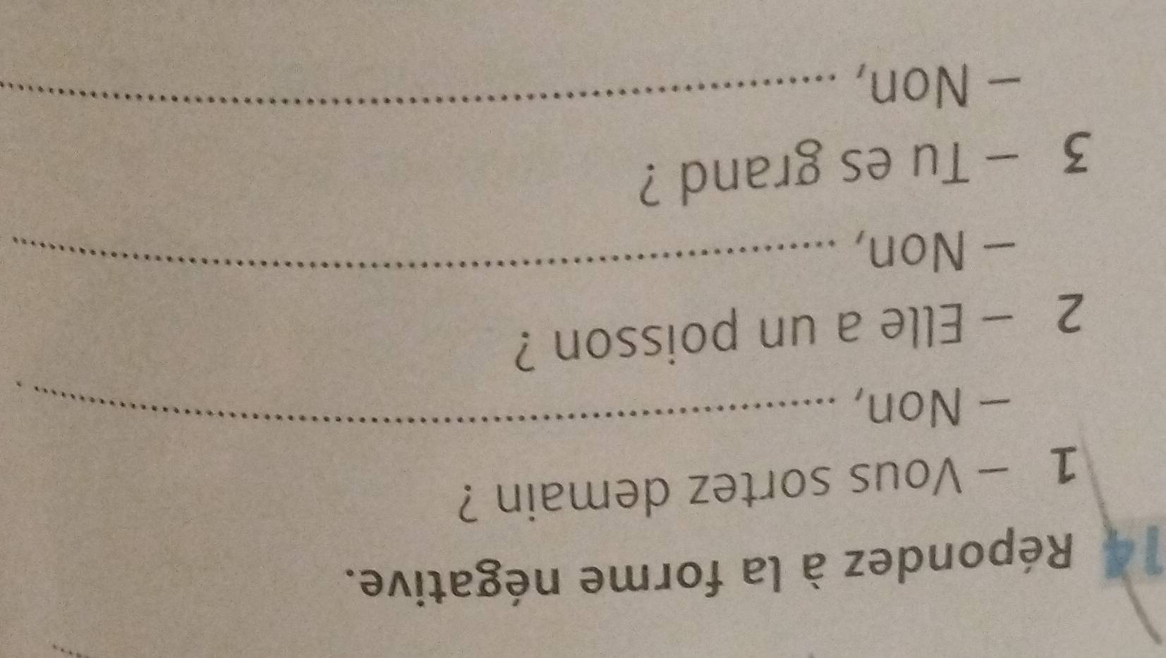 Répondez à la forme négative. 
1 - Vous sortez demain ? 
— Non, 
_ 
2 - Elle a un poisson ? 
— Non, 
_ 
3 - Tu es grand ? 
- Non, 
_