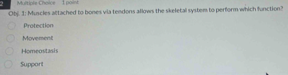 Obj. 1: Muscles attached to bones via tendons allows the skeletal system to perform which function?
Protection
Movement
Homeostasis
Support