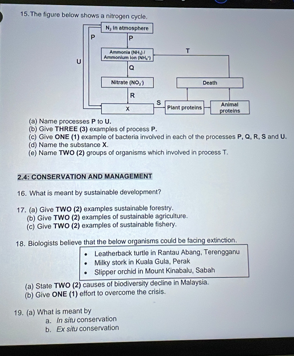 The figure below shows a nitrogen cycle.
(a) Name processes P to U.
(b) Give THREE (3) examples of process P.
(c) Give ONE (1) example of bacteria involved in each of the processes P, Q, R, S and U.
(d) Name the substance X.
(e) Name TWO (2) groups of organisms which involved in process T.
2.4: CONSERVATION AND MANAGEMENT
16. What is meant by sustainable development?
17. (a) Give TWO (2) examples sustainable forestry.
(b) Give TWO (2) examples of sustainable agriculture.
(c) Give TWO (2) examples of sustainable fishery.
18. Biologists believe that the below organisms could be facing extinction.
Leatherback turtle in Rantau Abang, Terengganu
Milky stork in Kuala Gula, Perak
Slipper orchid in Mount Kinabalu, Sabah
(a) State TWO (2) causes of biodiversity decline in Malaysia.
(b) Give ONE (1) effort to overcome the crisis.
19. (a) What is meant by
a. In situ conservation
b. Ex situ conservation