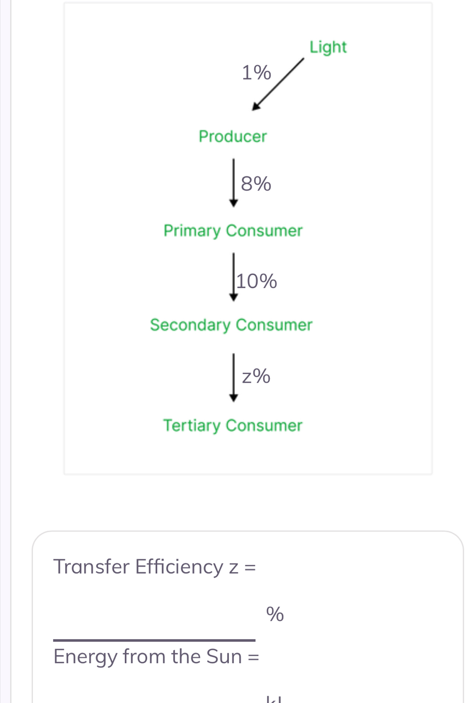 Light
1%
Producer
8%
Primary Consumer
10%
Secondary Consumer
z%
Tertiary Consumer 
Transfer Efficiency z=
%
Energy from the Sun=