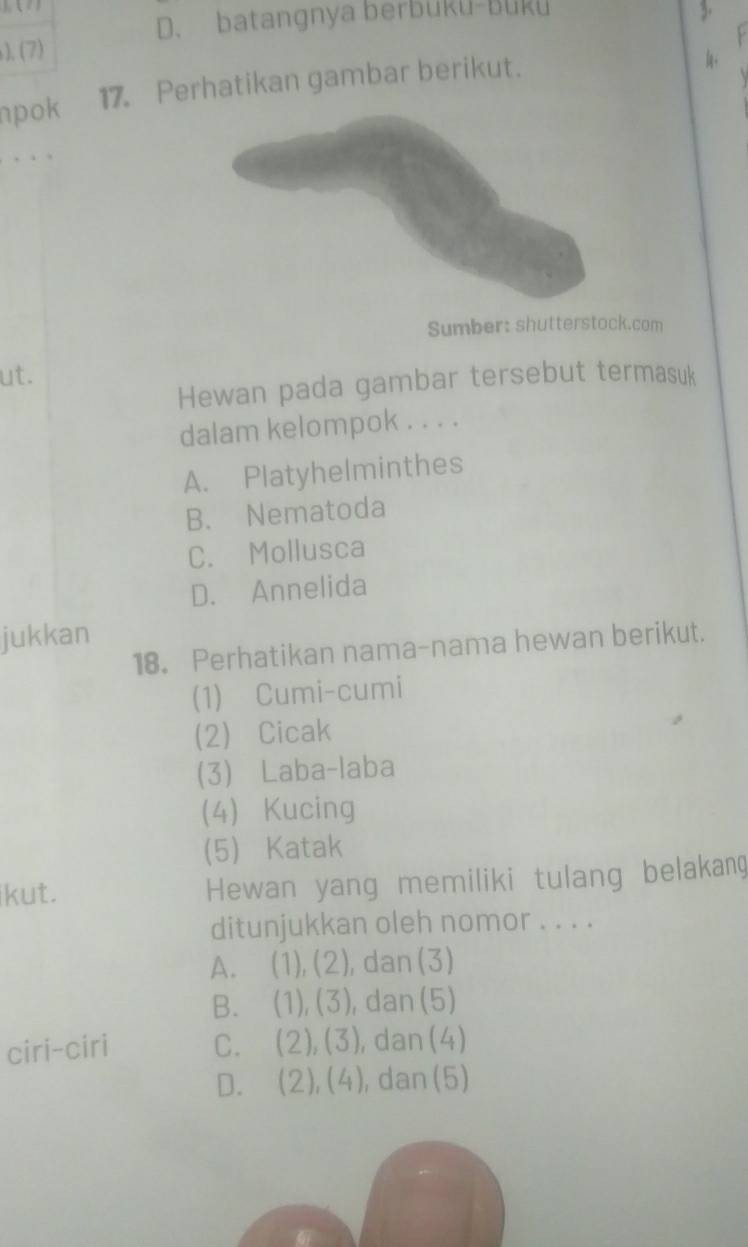 D. batangnya berbuku-buku 3
). (7)
npok 17. Perhatikan gambar berikut.
. . 
Sumber: shutterstock.com
ut.
Hewan pada gambar tersebut termasuk
dalam kelompok . . . .
A. Platyhelminthes
B. Nematoda
C. Mollusca
D. Annelida
jukkan
18。 Perhatikan nama-nama hewan berikut.
(1) Cumi-cumi
2) Cicak
(3) Laba-laba
4) Kucing
(5) Katak
ikut. Hewan yang memiliki tulang belakang
ditunjukkan oleh nomor . . . .
A. (1), (2), dan (3)
B. (1),(3) ), dan (5)
ciri-ciri C. (2), (3), , dan (4)
D. (2), (4) , dan(5)