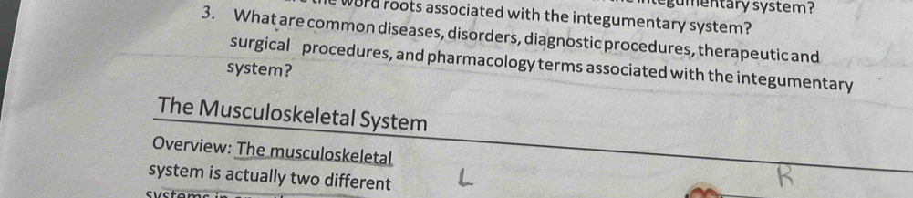 entary system ? 
Word roots associated with the integumentary system? 
3. What are common diseases, disorders, diagnostic procedures, therapeutic and 
surgical procedures, and pharmacology terms associated with the integumentary 
system? 
The Musculoskeletal System 
Overview: The musculoskeletal 
system is actually two different 
evet