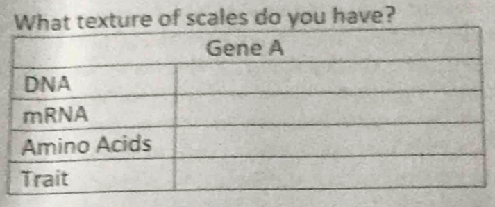 xture of scales do you have?