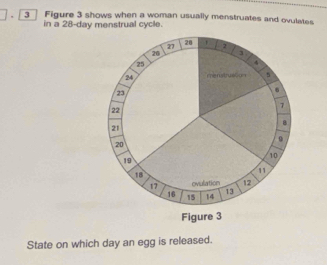 Figure 3 shows when a woman usually menstruates and ovulates 
in a 28-day menstrual cycle. 
State on which day an egg is released.